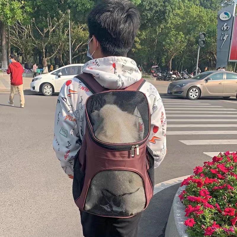 Additional photo: Small Dog Backpack Carrier for Travel