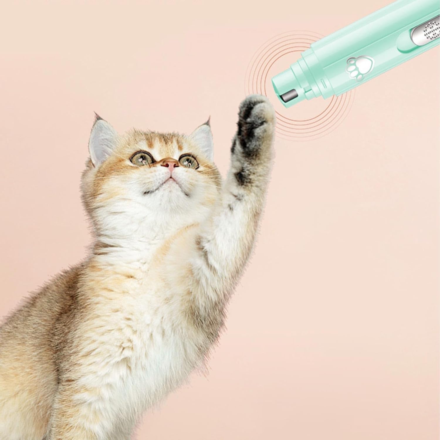 Additional photo: Low-Noise Pet Nail Grinder 4-in-1 Kit